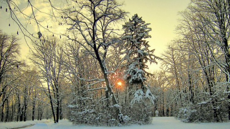 Снимка: visualhunt.com