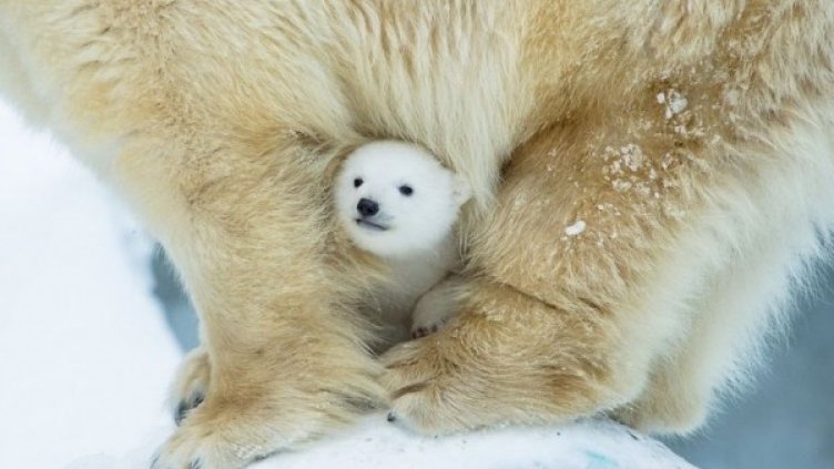 Снимка: Instagram