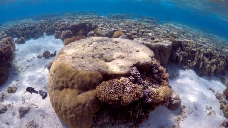 Снимка: архив, Reuters