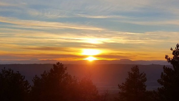 Снимка: Dnes.bg