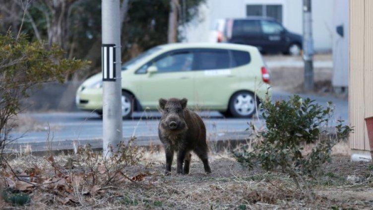 Снимка: Reuters