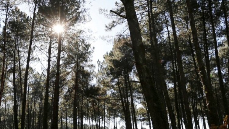 Снимка: Reuters