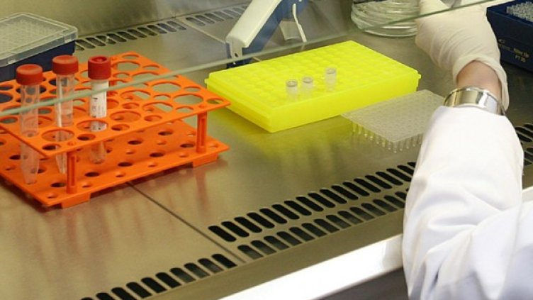 Снимка: Булфото, архив