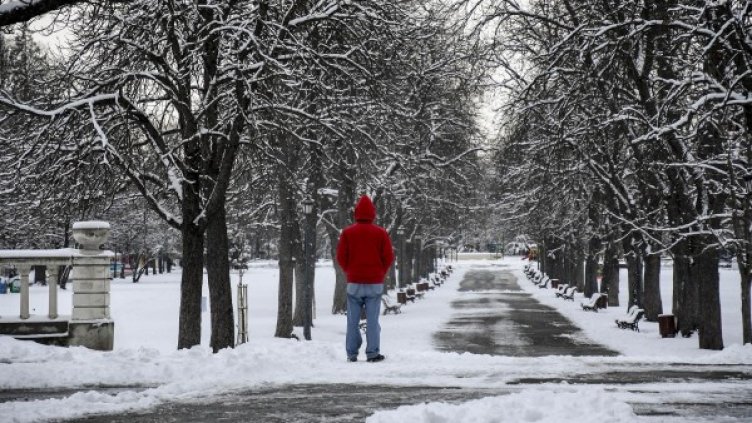 Снимка: архив "Булфото"