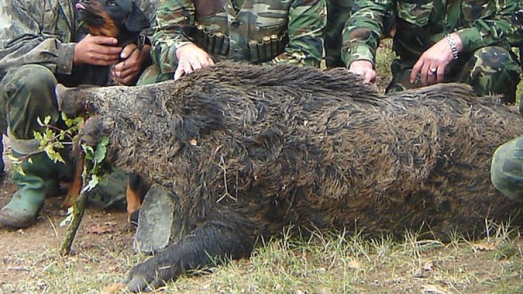 Снимка: Булфото