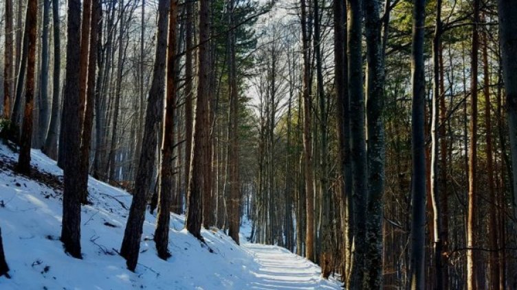 Снимка: Dnes.bg