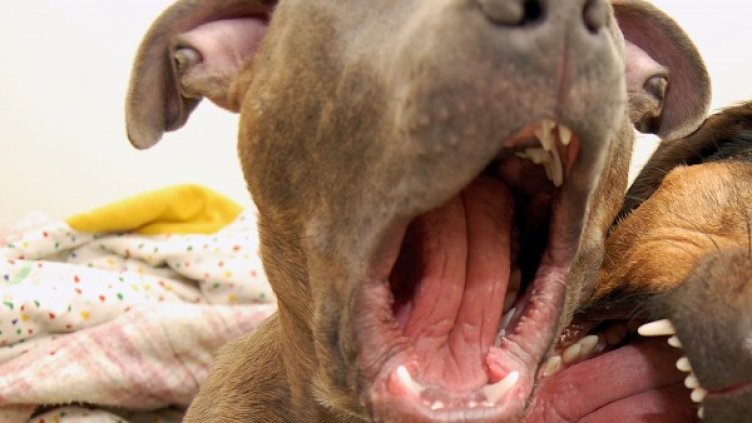 Снимка: Visualhunt