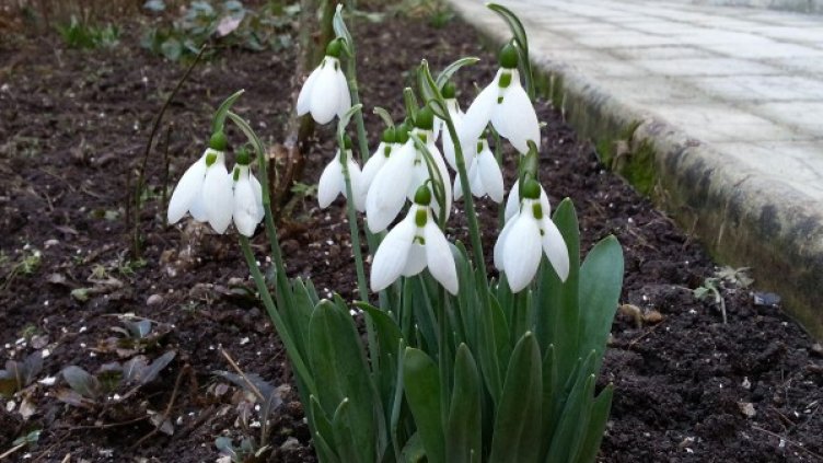 Снимка: архив "Булфото"