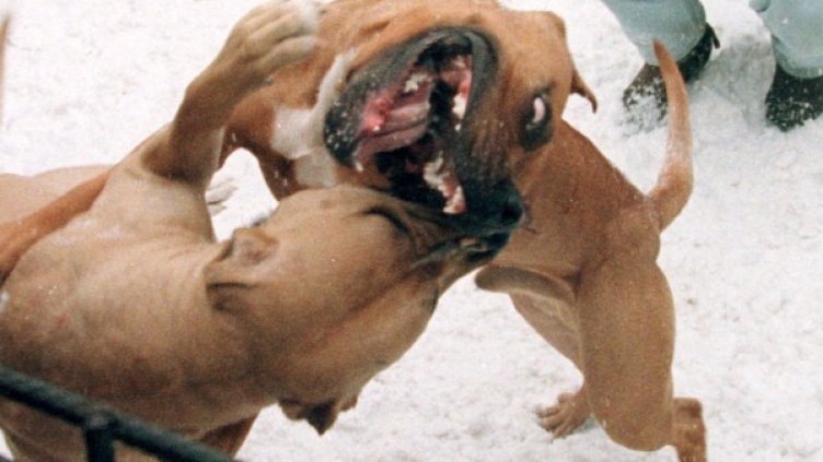 Снимка:  Reuters