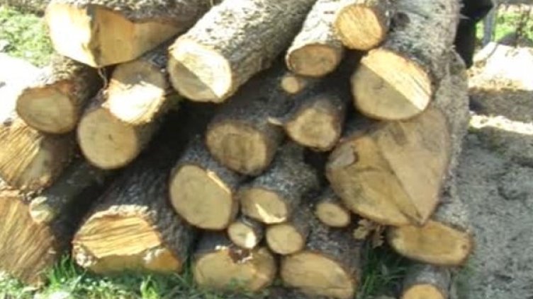 Снимка: Bulgaria ON AIR