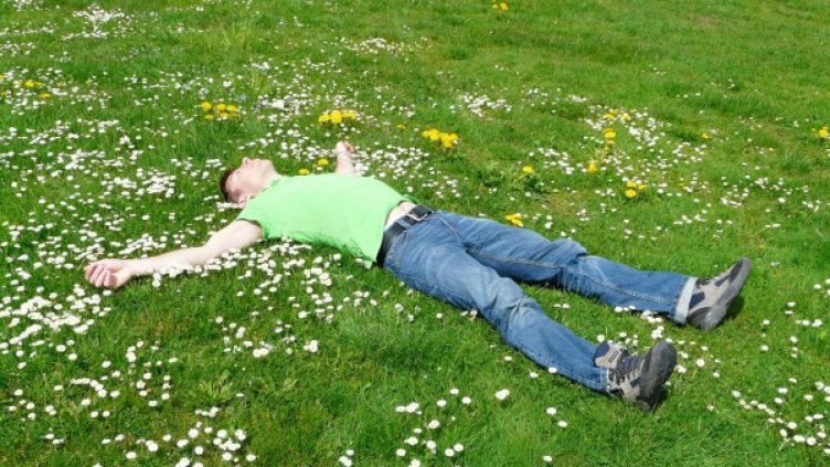 Снимка: pixabay.com