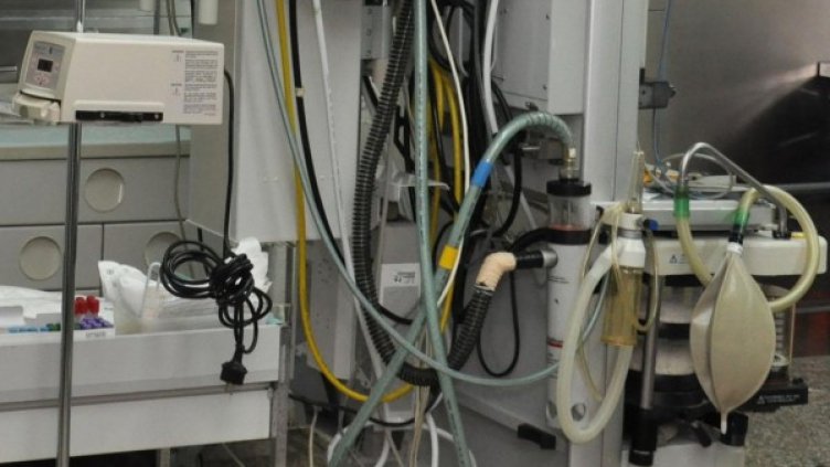 Снимка: архив, БулФото