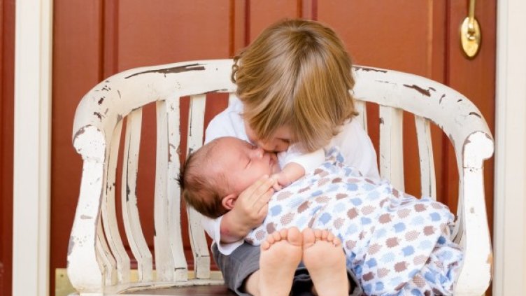 Снимка: pexels