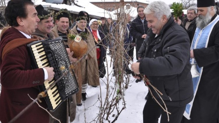 Снимка: архив, Булфото