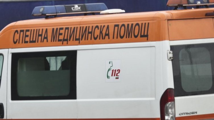 Снимка: Булфото, архив