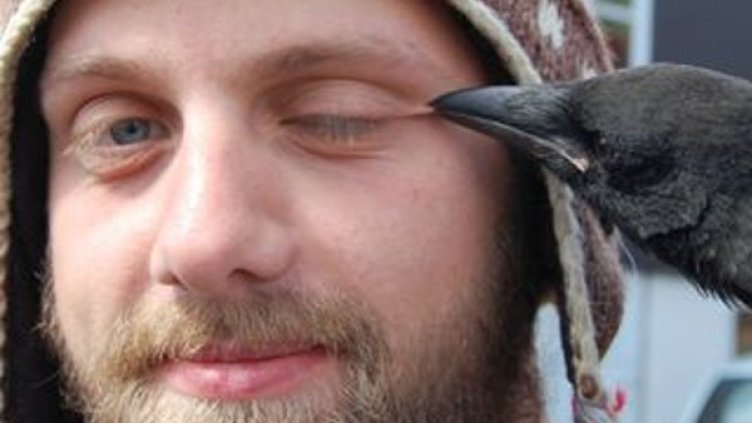 Снимка: realpenguin