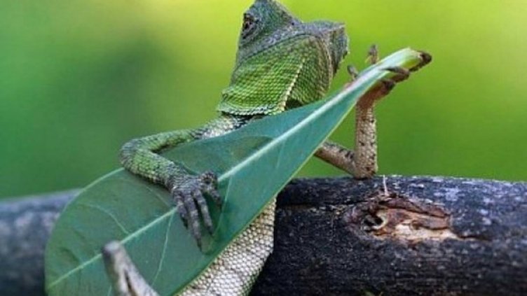 Снимка: Instagram