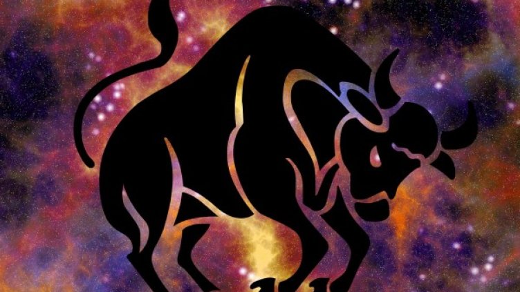 Снимка: pixabay