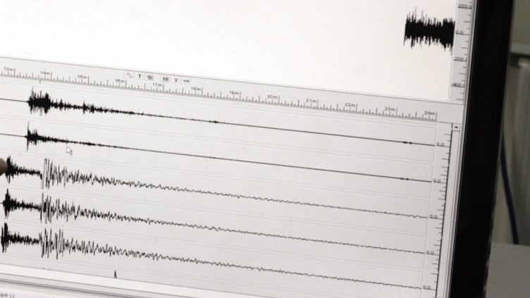 Снимка: архив, БГНЕС