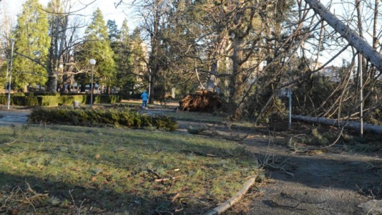 Снимка: архив, Булфото