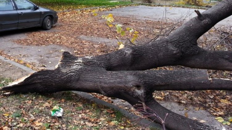 Снимка: Булфото, архив