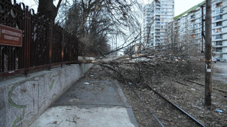 Снимка: Булфото, архив