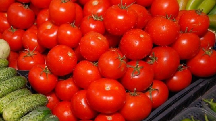 Снимка: Булфото, архив