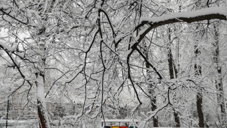 Снимка: Reuters, архив