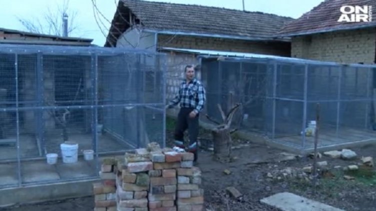 Снимка: bgonair.bg