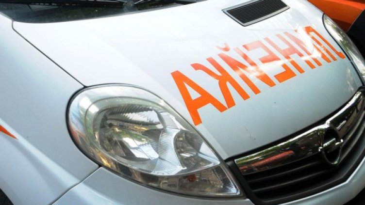 Снимка: Архив, Булфото