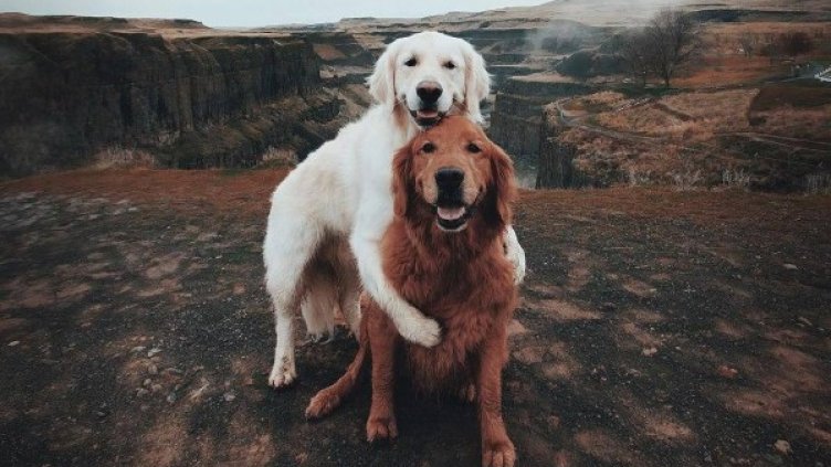 Снимка: Instagram