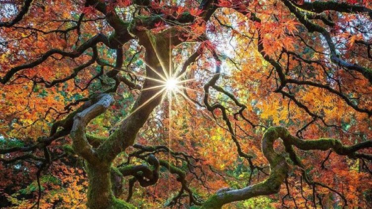 Снимка: Instagram