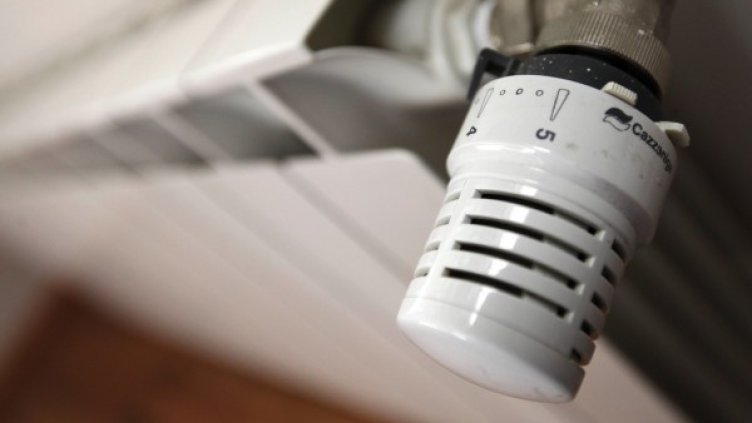 Снимка: Олег Попов, Dnes.bg