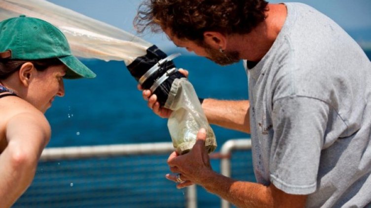 Снимка: Грийнпийс