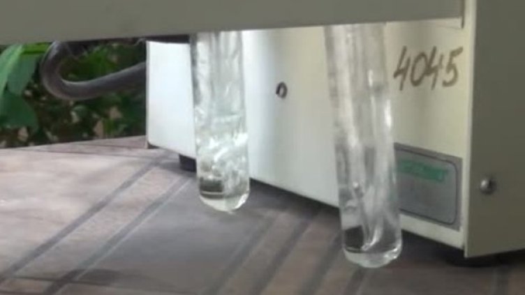 Снимка: Bulgaria ON AIR