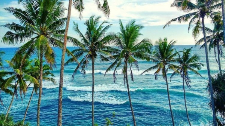 Снимка: Instagram