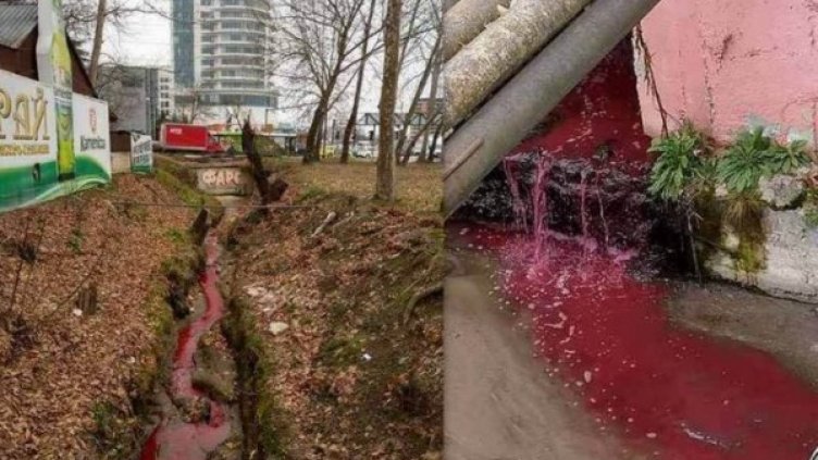 Снимка: Монитор