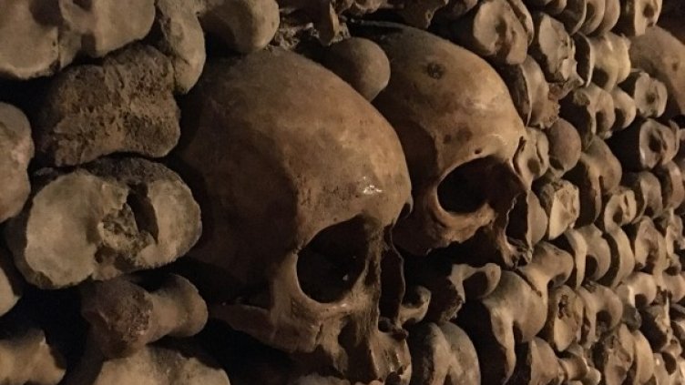 Снимка: Instagram