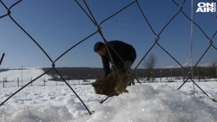 Снимка: Bulgaria ON AIR