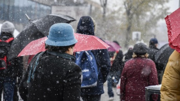 Снимка: архив "Булфото"