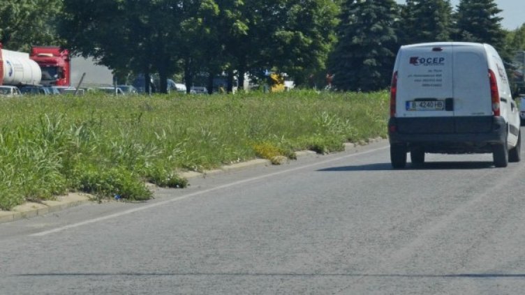 Снимка: архив "Булфото"