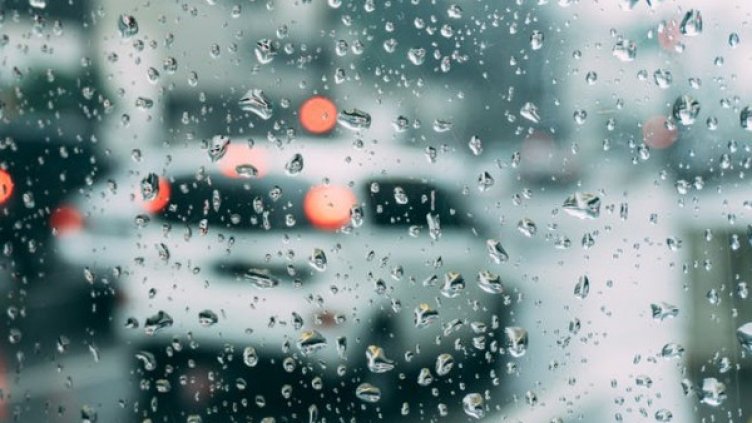 Снимка: pexels.com