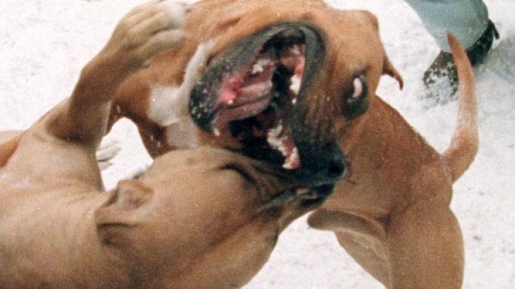 Снимка: архив, Reuters