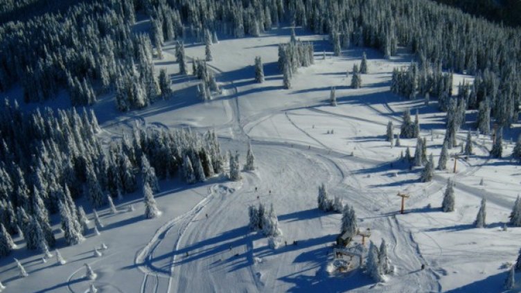 Снимка: архив "Булфото"