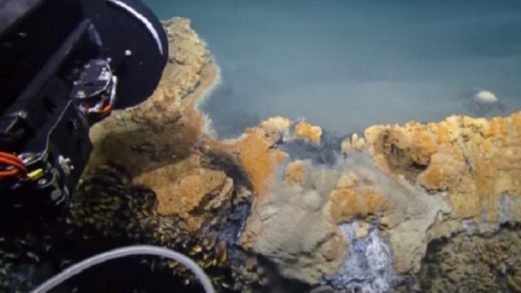 Снимка: Instagram