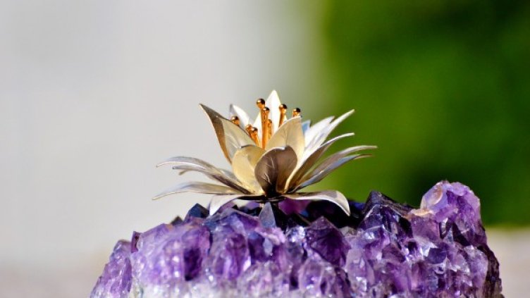 Снимка: pexels