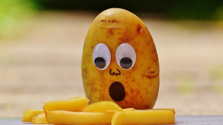 Снимка: Pixabay