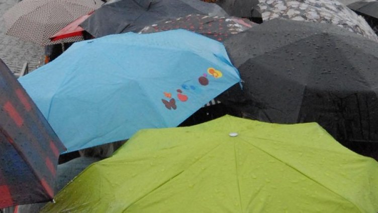 Архив: Булфото