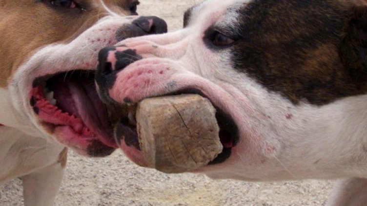 Снимка:  Reuters