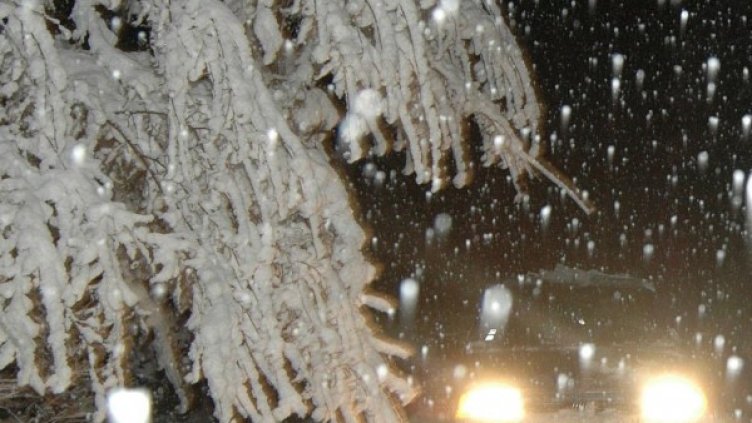 Снимка: архив Булфото